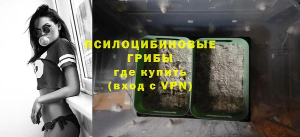 PSILOCYBIN Абаза