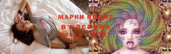 шишки Абинск
