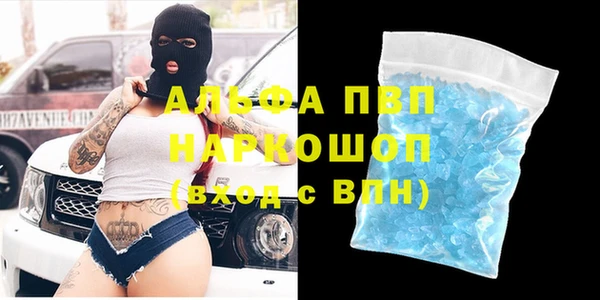 PSILOCYBIN Абаза